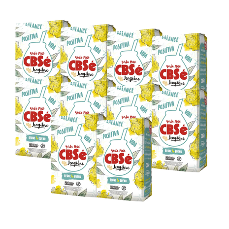 CBSe Jengibre Argentine Yerba Mate, 500 g (Pack of 10)